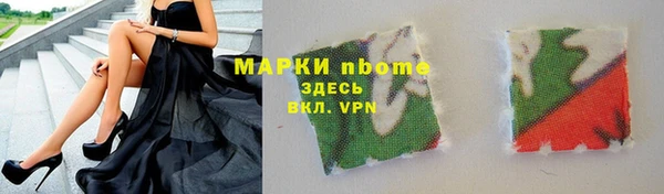 прущие грибы Вяземский