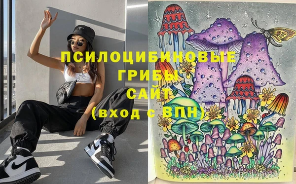 дурь Володарск